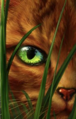 Warrior Cats OC Generator