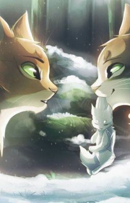 Warrior Cats RP (CANCELLED)