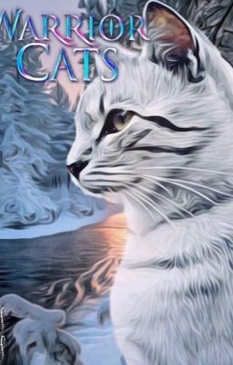 Warrior Cats Schneefunkels Prophezeiungen