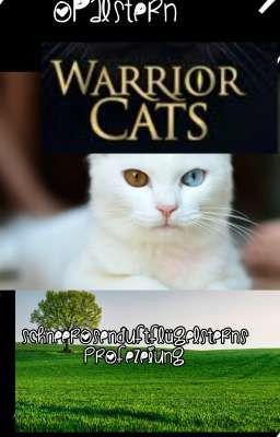 Warrior Cats Schneerosenduftflügelsterns Profezeiung