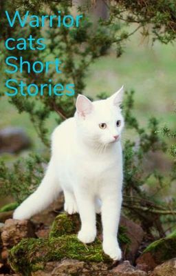 Warrior Cats Short/Mini Stories