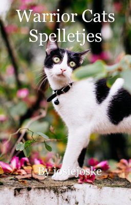 Warrior Cats spelletjes (voltooid)