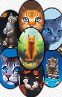 Warrior Cats: Steckbriefe