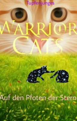 Warrior Cats, Sternenkrieger: ,,Auf den Pfoten der Sterne''