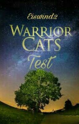 Warrior Cats Test 