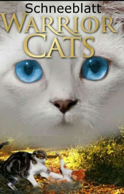 Warrior Cats Umfrage