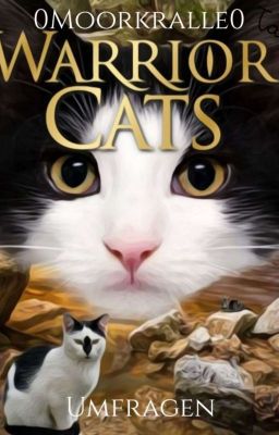 Warrior Cats ~Umfragen~