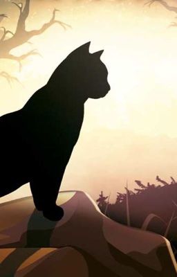 Warrior Cats- Umfragen