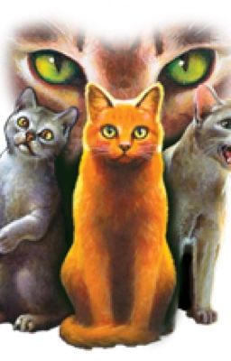 Warrior Cats weetjes (voltooid)