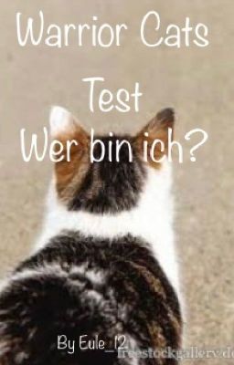 Warrior Cats: Wer bin ich?