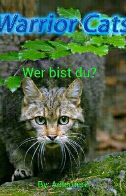 Warrior Cats- Wer bist du?