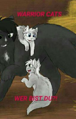 Warrior Cats - Wer bist du?! Test