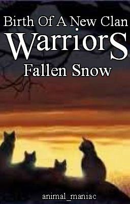 Warriors Birth of a New Clan book 1