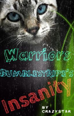 Warriors: Bumblestripe's Insanity