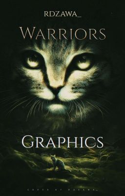 Warriors. Graphics