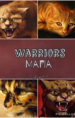 Warriors Mafia