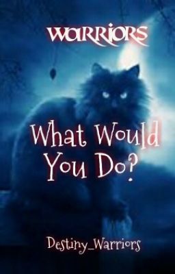 Warriors: What Would You Do?