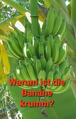 Warum ist die Banane krumm? - Die Sage des Bananenvolkes 