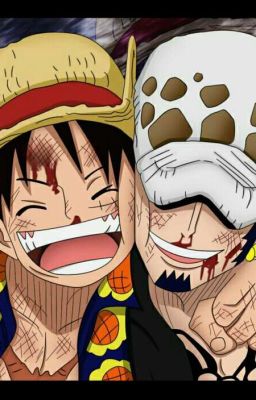 Was ist mit Law passiert? (One Piece OS) 