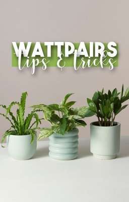 Wattpairs Tips & Tricks