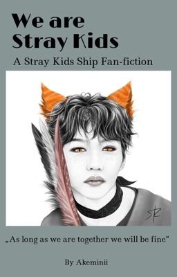 We are Stray Kids - A Stray Kids Fan-Fiction 