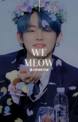 ➪ We Meow ' ᵐʸˢᵉˡᶠ