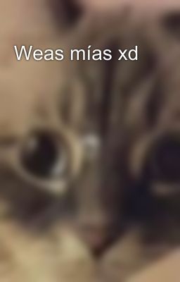 Weas mías xd