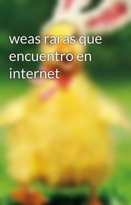 weas raras que encuentro en internet