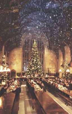 Weihnachten in Hogwarts (Adventkalender)