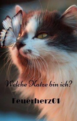 Welche Katze bin ich?🐈