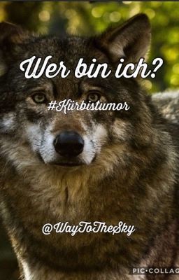 Wer bin ich? || Kürbistumor FF