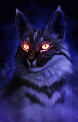 Wer ist Wer auf dem Cover? Warrior Cats