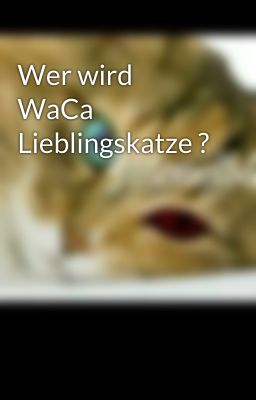 Wer wird WaCa Lieblingskatze ?