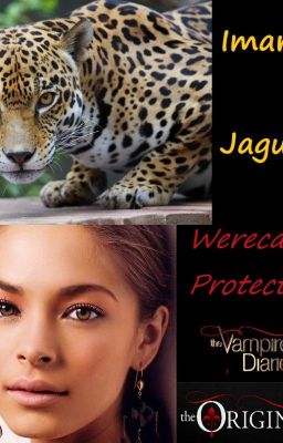 Werecat Protector: TVD/TO