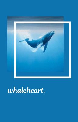 whaleheart. ↬ bang chan