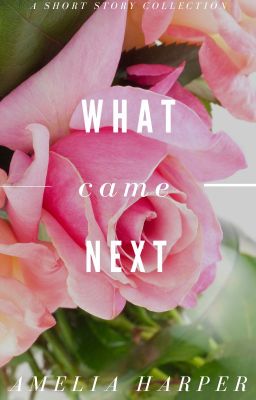 What came Next (A Short Story Collection)