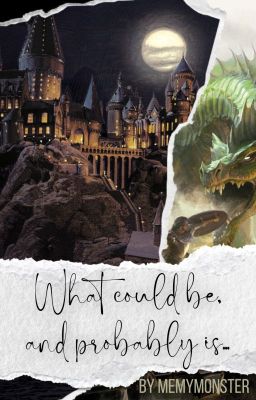 What Could Be, and Probably Is... (A HARRY POTTER FANFIC)