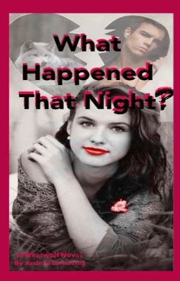 What Happened That Night? (Book 1) (complete)