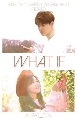 What If... [EXO Suho and Apink Eunji Fanfiction]