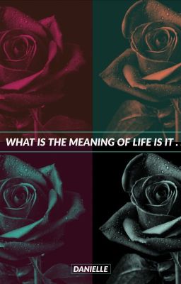 What is the meaning of life is it....