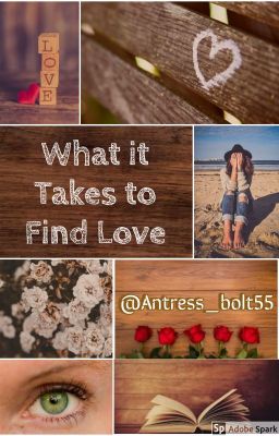 What it Takes to Find Love