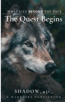 What lies beyond the pack: The Quest Begins