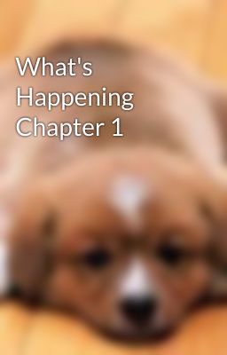 What's Happening Chapter 1