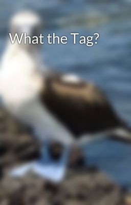 What the Tag?