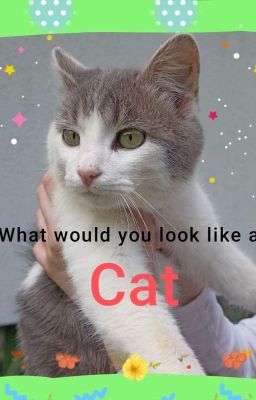 What would you look like as cat?