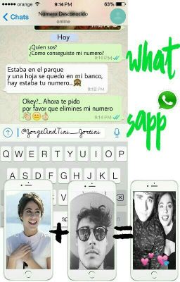 Whatsapp *Jortini*