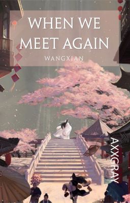 When We Meet Again (The Untamed Sequel)