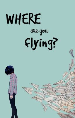 Where are you flying? (Jednodielovka)