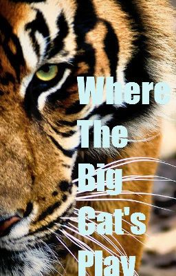 Where The Big Cat's Play