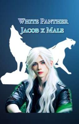 White Panther [Jacob x Male]